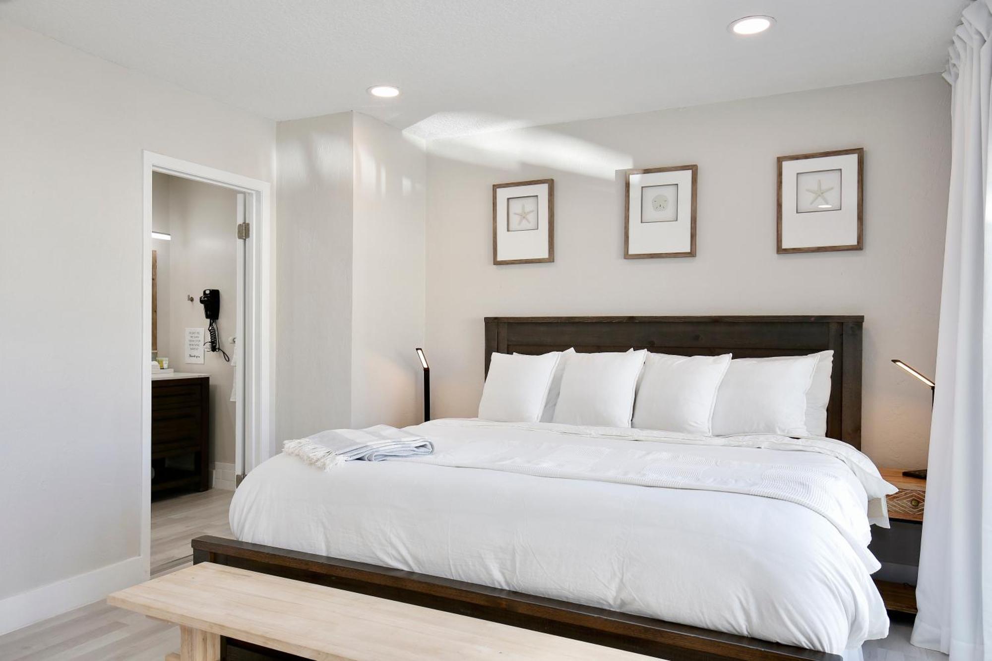Zen Beach Retreat - Ocean View Townhouse -No Drive Beach ニュー・スマーナ・ビーチ エクステリア 写真